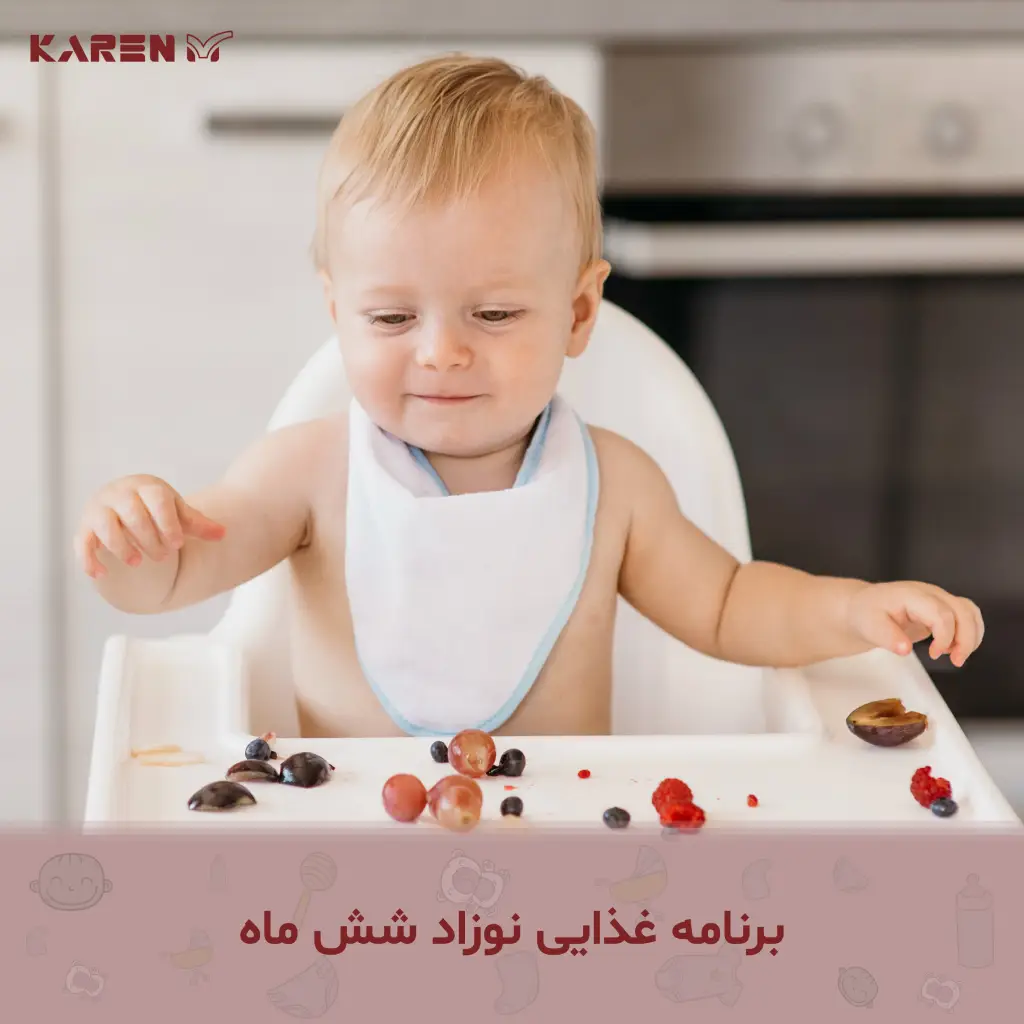 برنامه غذایی نوزاد شش ماهه